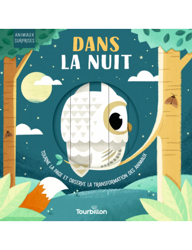 DANS LA NUIT
